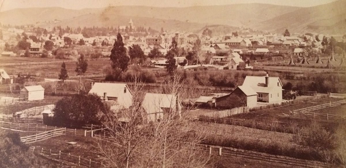 New Zealand photographsThe 19th Century Rare Book and Photograph Shop