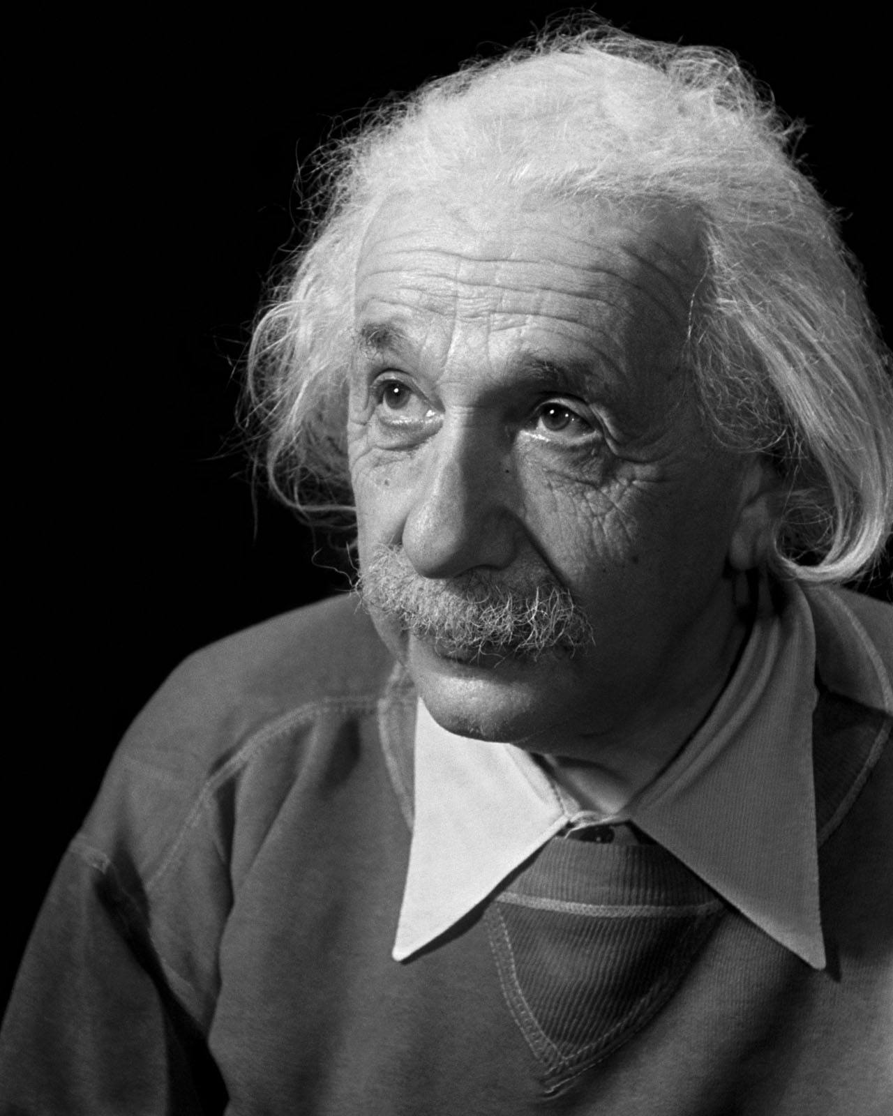 Portrait of Albert Einstein | The 19th Century Rare Book and Photograph ...